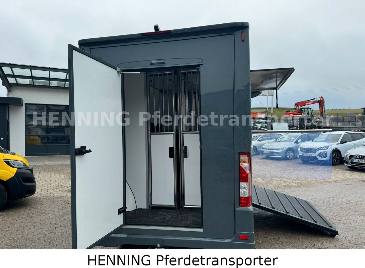 Renault Master 3 - Sitzer *NEUES MODELL* - شاحنة نقل المواشي: صورة 4 Renault Master 3 - Sitzer *NEUES MODELL* - شاحنة نقل المواشي: صورة 4