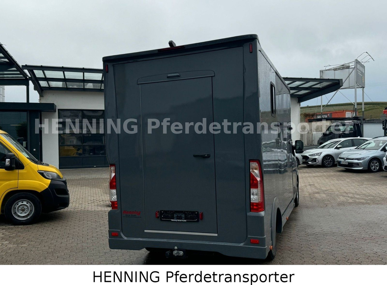 Renault Master 3 - Sitzer *NEUES MODELL* - شاحنة نقل المواشي: صورة 3 Renault Master 3 - Sitzer *NEUES MODELL* - شاحنة نقل المواشي: صورة 3