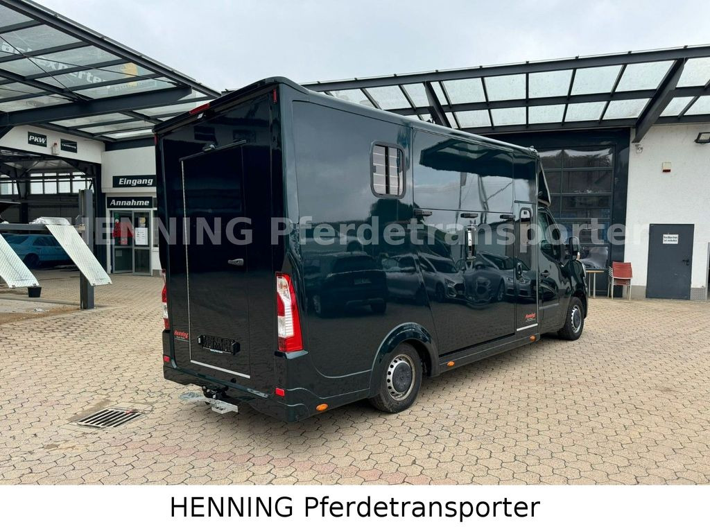 Renault Master 5 - Sitzer Automatik - شاحنة نقل خيل: صورة 3 Renault Master 5 - Sitzer Automatik - شاحنة نقل خيل: صورة 3