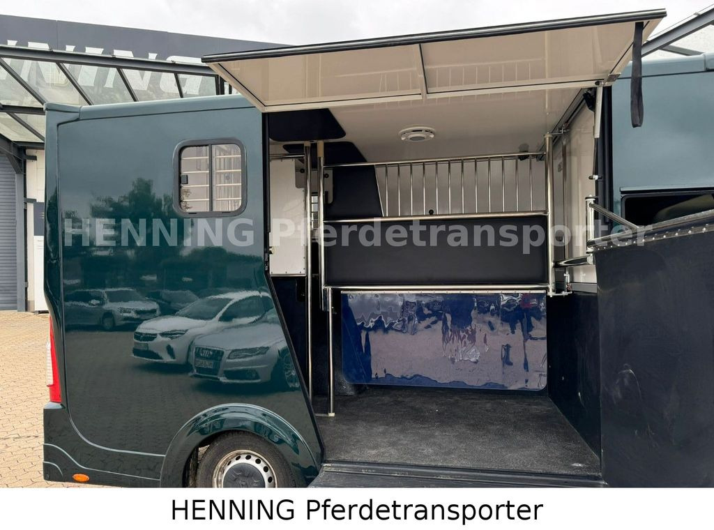 Renault Master 5 - Sitzer Automatik - شاحنة نقل خيل: صورة 5 Renault Master 5 - Sitzer Automatik - شاحنة نقل خيل: صورة 5