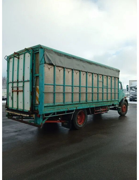 Mercedes-Benz 1113 - شاحنة نقل المواشي: صورة 5 Mercedes-Benz 1113 - شاحنة نقل المواشي: صورة 5