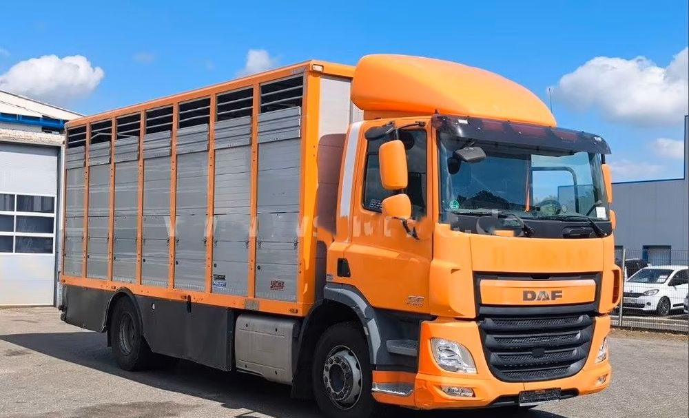 DAF CF 400 Menke Einstock | Transport zwierząt jednopoziomowy | 2 kratownice do bydła| Retarder | Euro 6 - شاحنة نقل المواشي: صورة 5 DAF CF 400 Menke Einstock | Transport zwierząt jednopoziomowy | 2 kratownice do bydła| Retarder | Euro 6 - شاحنة نقل المواشي: صورة 5