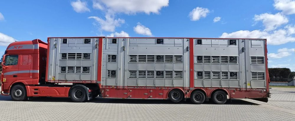 Pezzaioli SBA32/hydrauliczny dach/hydrauliczna rampa/ 3 poziomy/ 2xbydło -3xtrzoda/wentylatory/poidła/sterowanie pilotem - نصف مقطورة لنقل الحيوانات: صورة 3 Pezzaioli SBA32/hydrauliczny dach/hydrauliczna rampa/ 3 poziomy/ 2xbydło -3xtrzoda/wentylatory/poidła/sterowanie pilotem - نصف مقطورة لنقل الحيوانات: صورة 3