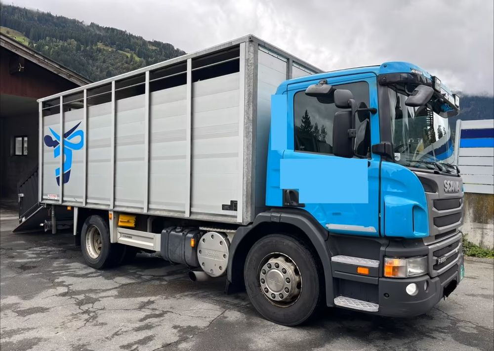 Scania P280 4x2 – Pojazd do przewozu zwierząt VIEHFAHRZEUG / jednopoziomowy – 171.000 km!! – Euro 5 - شاحنة نقل المواشي: صورة 2 Scania P280 4x2 – Pojazd do przewozu zwierząt VIEHFAHRZEUG / jednopoziomowy – 171.000 km!! – Euro 5 - شاحنة نقل المواشي: صورة 2