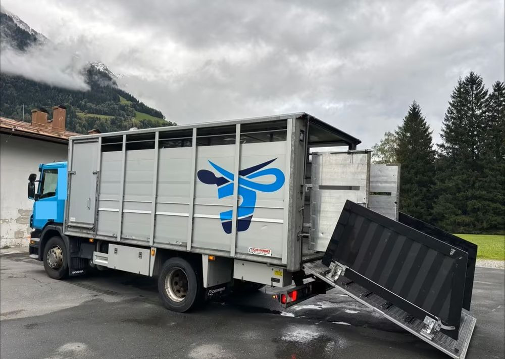Scania P280 4x2 – Pojazd do przewozu zwierząt VIEHFAHRZEUG / jednopoziomowy – 171.000 km!! – Euro 5 - شاحنة نقل المواشي: صورة 5 Scania P280 4x2 – Pojazd do przewozu zwierząt VIEHFAHRZEUG / jednopoziomowy – 171.000 km!! – Euro 5 - شاحنة نقل المواشي: صورة 5