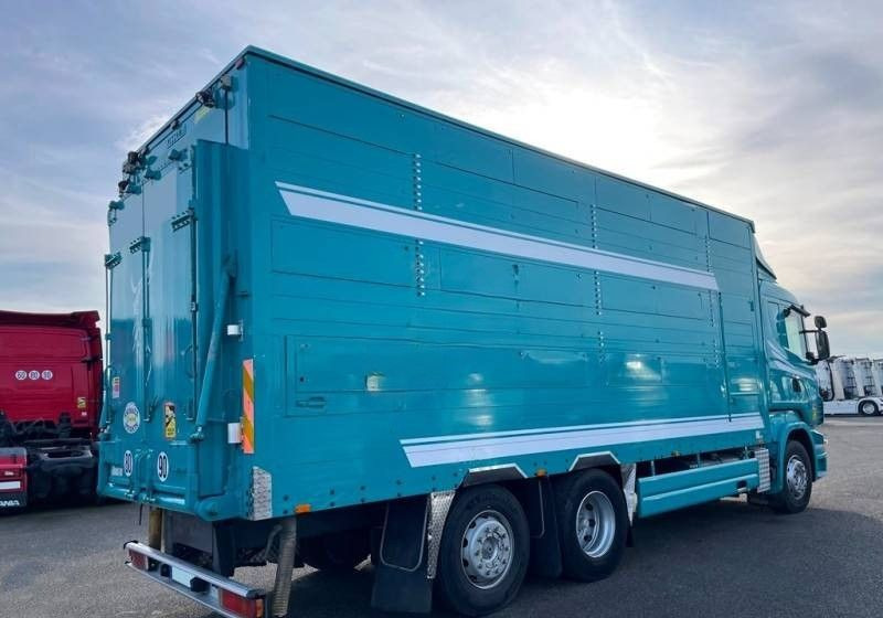 Scania R380 / 6x2 / Pezzaioli / 2-poziomowa zabudowa do przewozu zwierząt / Euro 3 / oś podnoszona / podnoszony dach - شاحنة نقل المواشي: صورة 2 Scania R380 / 6x2 / Pezzaioli / 2-poziomowa zabudowa do przewozu zwierząt / Euro 3 / oś podnoszona / podnoszony dach - شاحنة نقل المواشي: صورة 2