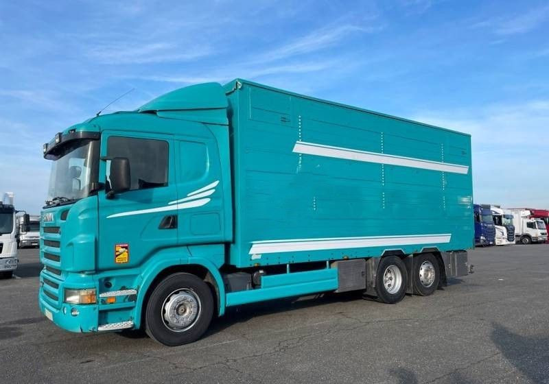 Scania R380 / 6x2 / Pezzaioli / 2-poziomowa zabudowa do przewozu zwierząt / Euro 3 / oś podnoszona / podnoszony dach - شاحنة نقل المواشي: صورة 1 Scania R380 / 6x2 / Pezzaioli / 2-poziomowa zabudowa do przewozu zwierząt / Euro 3 / oś podnoszona / podnoszony dach - شاحنة نقل المواشي: صورة 1