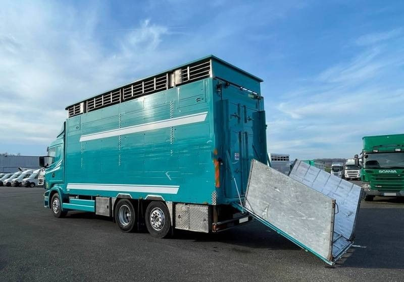 Scania R380 / 6x2 / Pezzaioli / 2-poziomowa zabudowa do przewozu zwierząt / Euro 3 / oś podnoszona / podnoszony dach - شاحنة نقل المواشي: صورة 3 Scania R380 / 6x2 / Pezzaioli / 2-poziomowa zabudowa do przewozu zwierząt / Euro 3 / oś podnoszona / podnoszony dach - شاحنة نقل المواشي: صورة 3