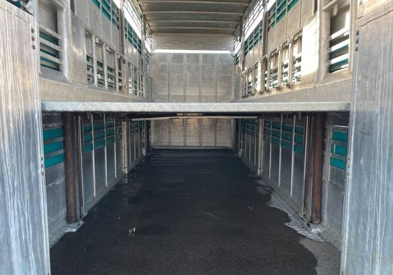 Scania R380 / 6x2 / Pezzaioli / 2-poziomowa zabudowa do przewozu zwierząt / Euro 3 / oś podnoszona / podnoszony dach - شاحنة نقل المواشي: صورة 4 Scania R380 / 6x2 / Pezzaioli / 2-poziomowa zabudowa do przewozu zwierząt / Euro 3 / oś podnoszona / podnoszony dach - شاحنة نقل المواشي: صورة 4