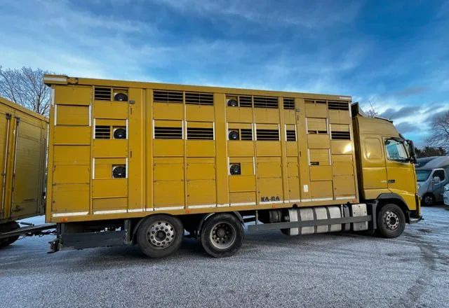 Volvo FH 420 • KABA • Transport Zwierząt 3xŚwinie/ 2xBydło 3-piętrowy • Euro 5 • Retarder • Oś podnoszona i skrętna - شاحنة نقل المواشي: صورة 2 Volvo FH 420 • KABA • Transport Zwierząt 3xŚwinie/ 2xBydło 3-piętrowy • Euro 5 • Retarder • Oś podnoszona i skrętna - شاحنة نقل المواشي: صورة 2