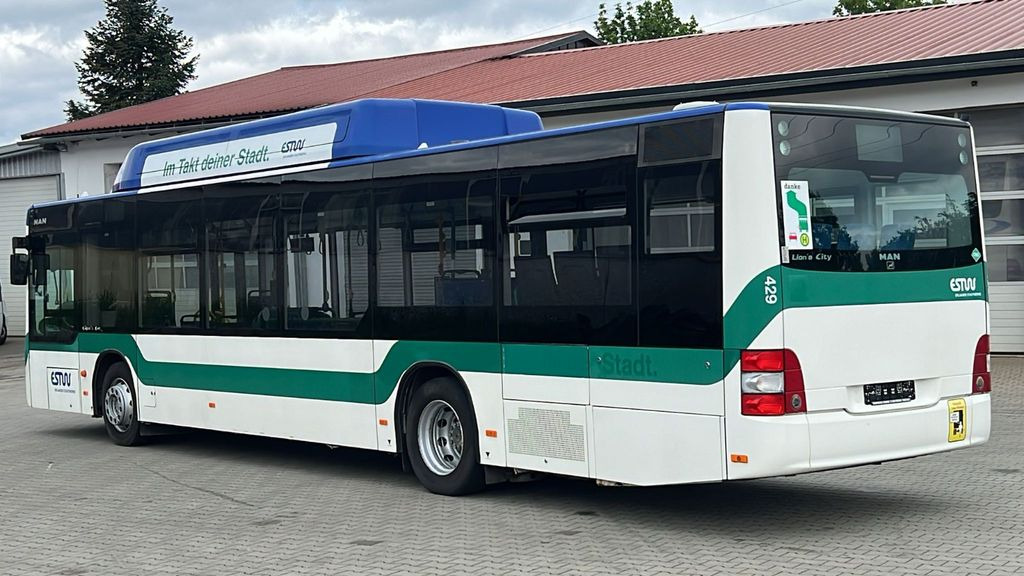 MAN A 21 CNG Euro 5 EEV MAN A 21 CNG Euro 5 EEV - حافلة المدينة: صورة 5 MAN A 21 CNG Euro 5 EEV MAN A 21 CNG Euro 5 EEV - حافلة المدينة: صورة 5