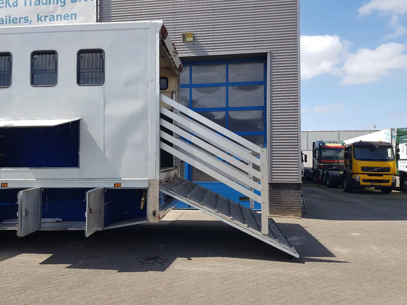 DAF 95.350 Paardenwagen met zitverblijf 7 paarden 7 horses - شاحنة نقل خيل: صورة 5 DAF 95.350 Paardenwagen met zitverblijf 7 paarden 7 horses - شاحنة نقل خيل: صورة 5