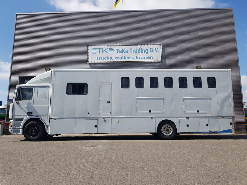DAF 95.350 Paardenwagen met zitverblijf 7 paarden 7 horses - شاحنة نقل خيل: صورة 3 DAF 95.350 Paardenwagen met zitverblijf 7 paarden 7 horses - شاحنة نقل خيل: صورة 3