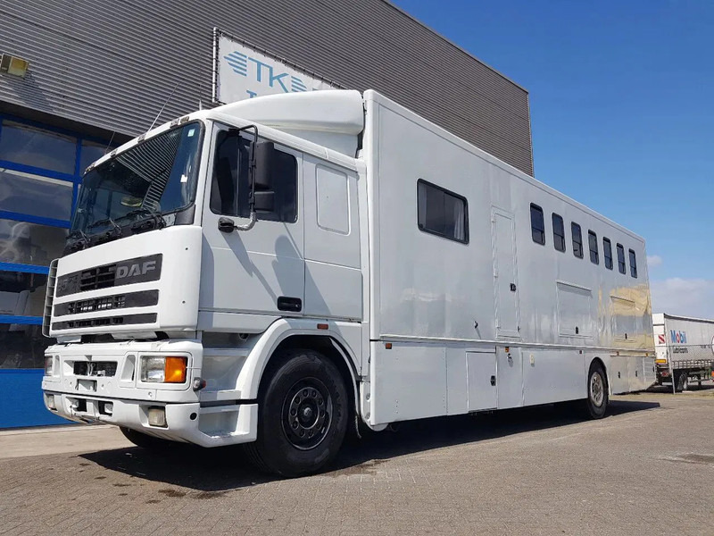 DAF 95.350 Paardenwagen met zitverblijf 7 paarden 7 horses - شاحنة نقل خيل: صورة 1 DAF 95.350 Paardenwagen met zitverblijf 7 paarden 7 horses - شاحنة نقل خيل: صورة 1