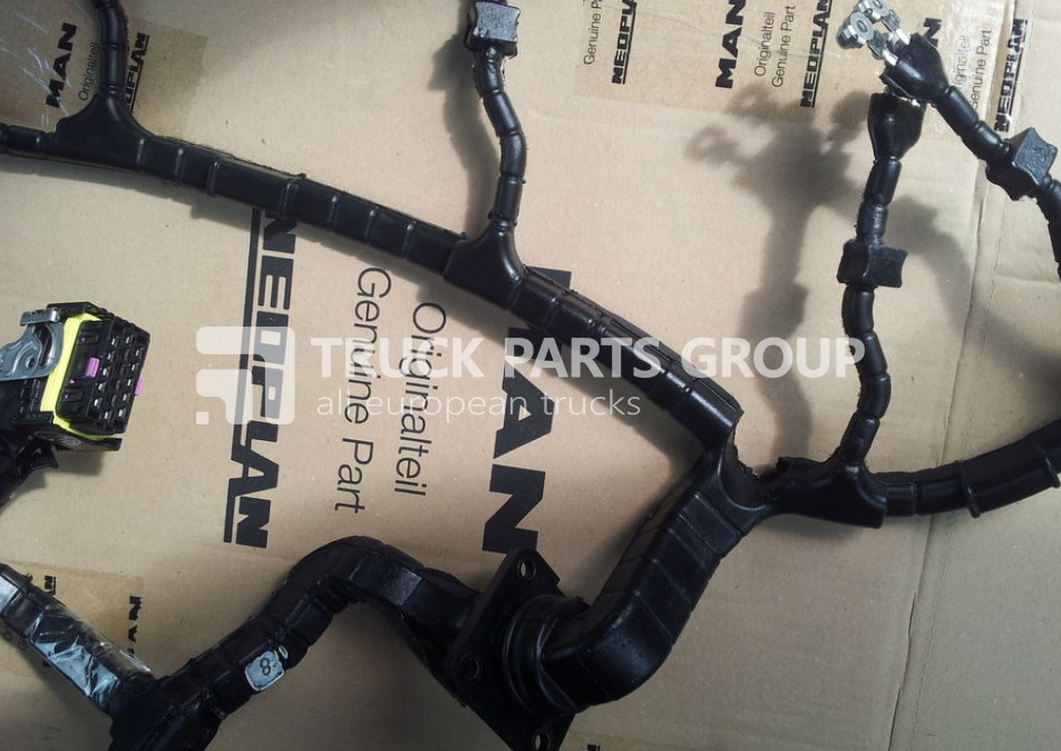 MAN TGA, TGX, TGS, TGM, TGL, EURO3, EURO4, EURO5, EURO6 cable harnes wiring - تسخير/ تجميع الكابلات - شاحنة: صورة 1 MAN TGA, TGX, TGS, TGM, TGL, EURO3, EURO4, EURO5, EURO6 cable harnes wiring - تسخير/ تجميع الكابلات - شاحنة: صورة 1
