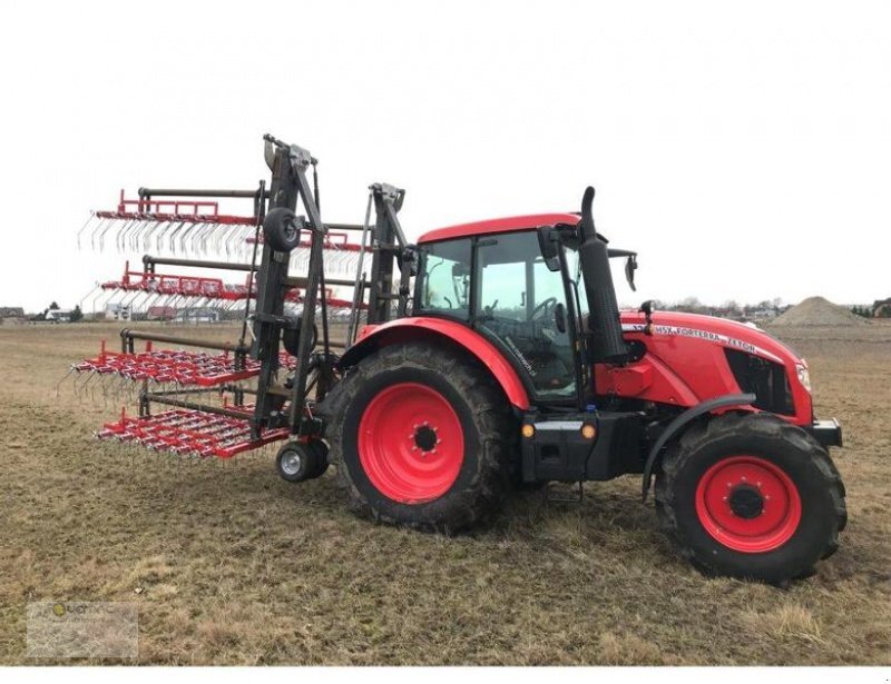 Vemac Wiesenstriegel 12m Striegel Wiesenschleppe Hackstriegel NEU - مسلفة سلسلية: صورة 2 Vemac Wiesenstriegel 12m Striegel Wiesenschleppe Hackstriegel NEU - مسلفة سلسلية: صورة 2