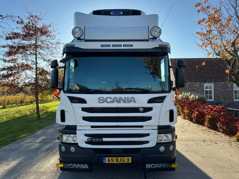Scania P280 / NL TRUCK / EURO 6 / FULL AIR / CARRIER SUPRA 1250 / TOPCONDITION / LIFT+DOORS - شاحنة الفريزر: صورة 2 Scania P280 / NL TRUCK / EURO 6 / FULL AIR / CARRIER SUPRA 1250 / TOPCONDITION / LIFT+DOORS - شاحنة الفريزر: صورة 2