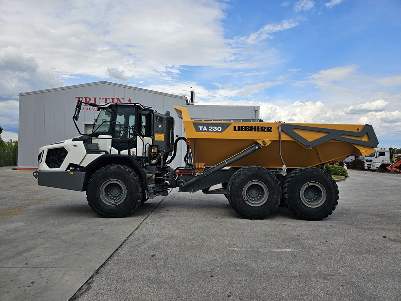 LIEBHERR TA230 Litronic - شاحنة قلاب مفصلية: صورة 1 LIEBHERR TA230 Litronic - شاحنة قلاب مفصلية: صورة 1