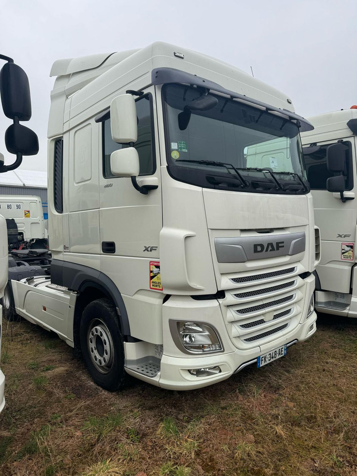 DAF XF 480 - وحدة جر: صورة 4 DAF XF 480 - وحدة جر: صورة 4