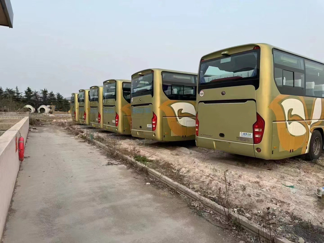 Used YUTONG Coach Bus 6119 - مركبة كوتش: صورة 3 Used YUTONG Coach Bus 6119 - مركبة كوتش: صورة 3