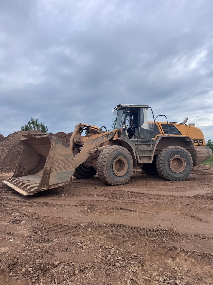 LIEBHERR L566 - جرافة حفار: صورة 1 LIEBHERR L566 - جرافة حفار: صورة 1