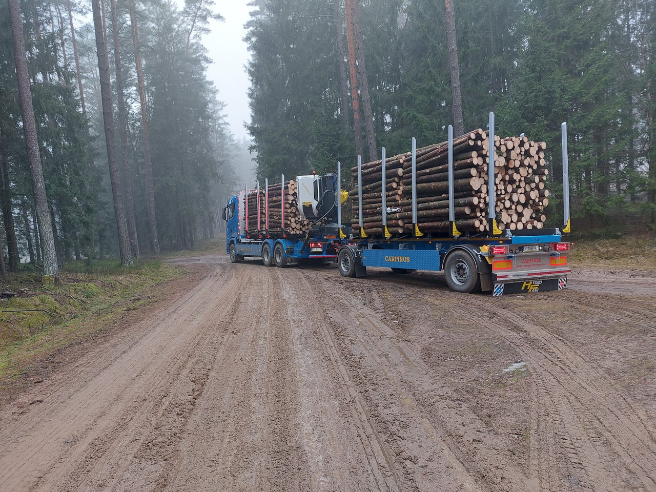 Hydrofast Przyczepa 2 osiowa do drewna stosowego HFP2/2-axle timber trailer HFP2 - مقطورة اخشاب: صورة 3 Hydrofast Przyczepa 2 osiowa do drewna stosowego HFP2/2-axle timber trailer HFP2 - مقطورة اخشاب: صورة 3