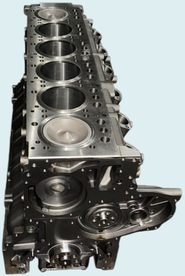 Błok do Mercedes 460 BF fabrycznie nowy - محرك: صورة 1 Błok do Mercedes 460 BF fabrycznie nowy - محرك: صورة 1