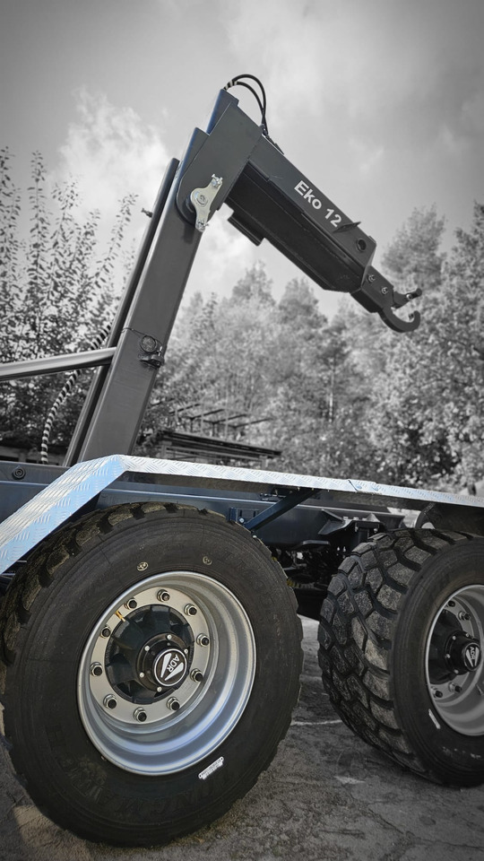 EkoAgri Hakenliftanhänger / Hooklift trailer / Remorque porte caisson / Remolque con gancho / Rimorchio a gancio / Przyczepa hakowa 12 t - المقطورة الزراعية: صورة 3 EkoAgri Hakenliftanhänger / Hooklift trailer / Remorque porte caisson / Remolque con gancho / Rimorchio a gancio / Przyczepa hakowa 12 t - المقطورة الزراعية: صورة 3