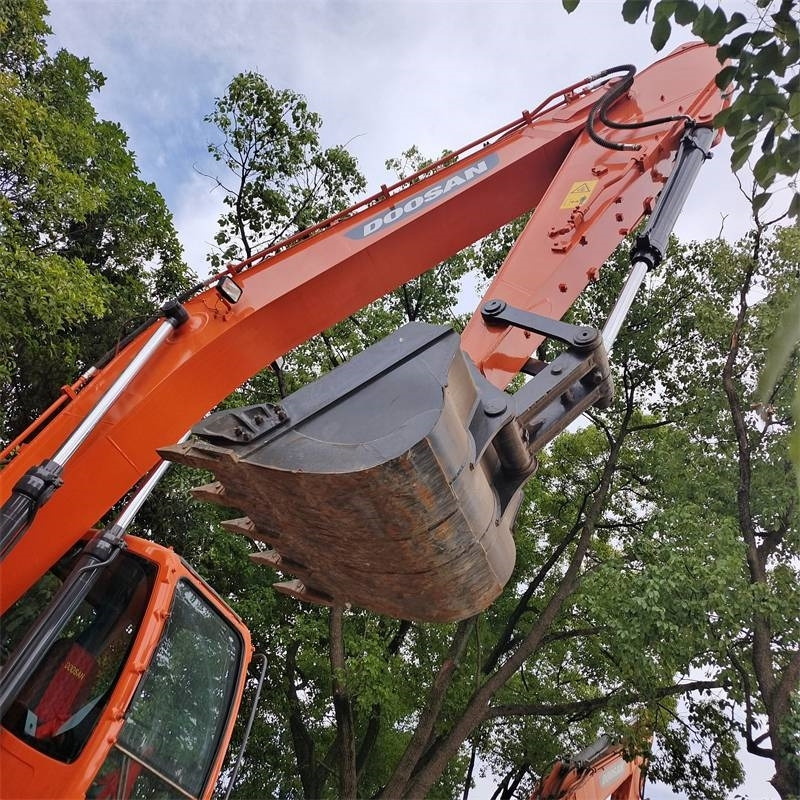 Doosan DX 225 LC - حفار زحاف: صورة 2 Doosan DX 225 LC - حفار زحاف: صورة 2