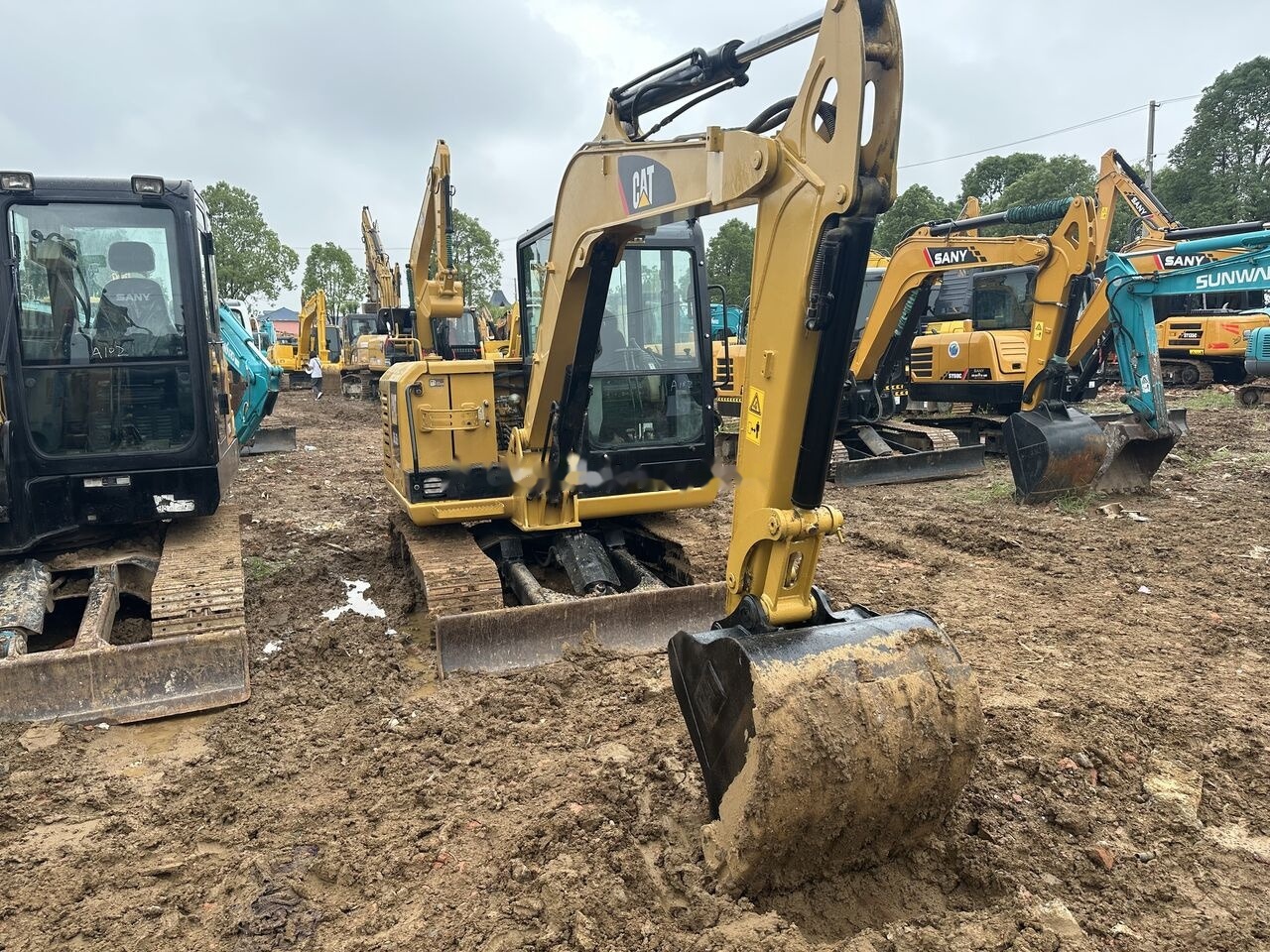 Caterpillar 305.5E - حفارة مُصَّغرة: صورة 4 Caterpillar 305.5E - حفارة مُصَّغرة: صورة 4