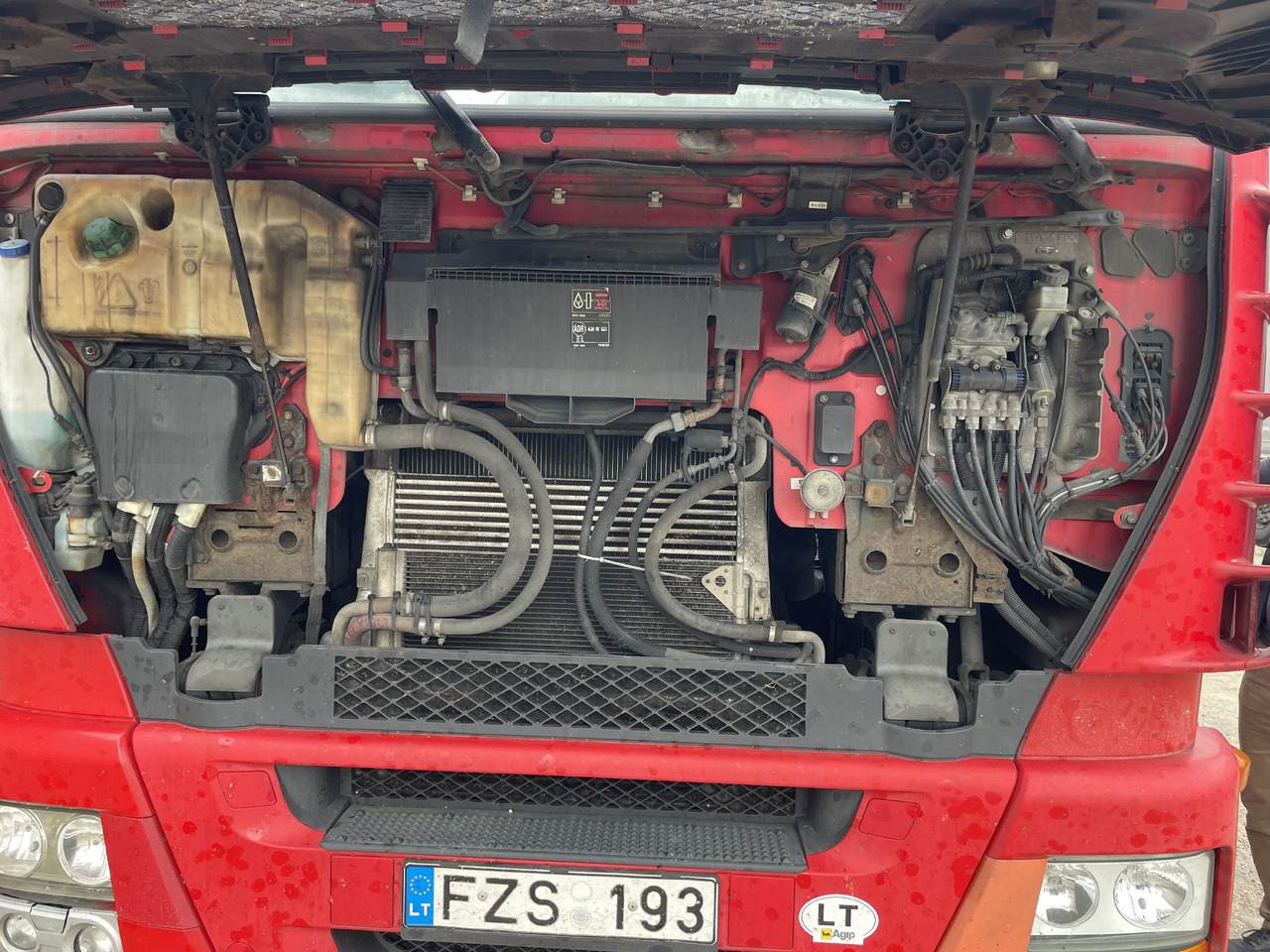 Iveco Stralis AS 440S45 - وحدة جر: صورة 5 Iveco Stralis AS 440S45 - وحدة جر: صورة 5