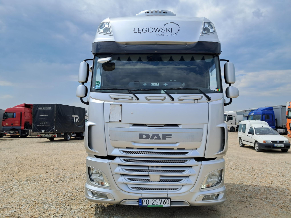 DAF XF 510 CIĄGNIK SIODŁOWY - وحدة جر: صورة 3 DAF XF 510 CIĄGNIK SIODŁOWY - وحدة جر: صورة 3