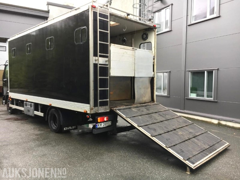 2004 DAF LF 45.220 - Hestebil / Transportbil, 202552km - آلية المنفعة/ مركبة خاصة: صورة 2 2004 DAF LF 45.220 - Hestebil / Transportbil, 202552km - آلية المنفعة/ مركبة خاصة: صورة 2