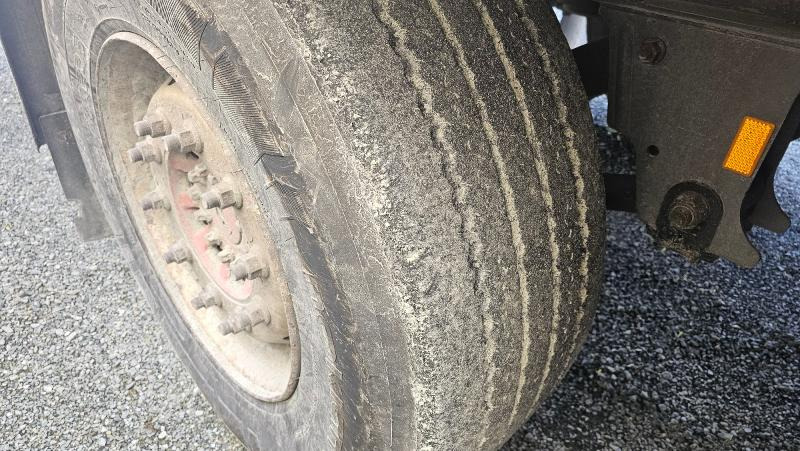 عربة مقطورة 2018 Schmitz Cargobull frysesemi med BAR cargolift: صورة 16 عربة مقطورة 2018 Schmitz Cargobull frysesemi med BAR cargolift: صورة 16