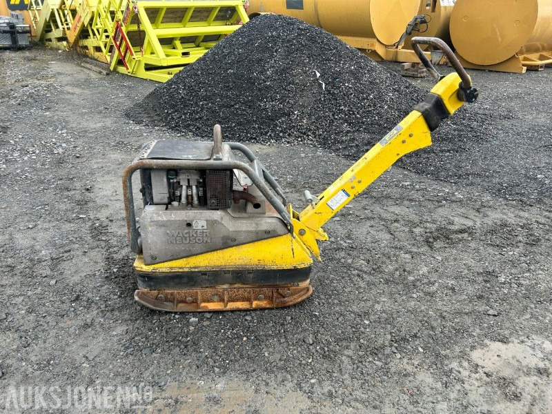 2018 Wacker Neuson Dpu 5545 vibrplate - مدحلة: صورة 1 2018 Wacker Neuson Dpu 5545 vibrplate - مدحلة: صورة 1