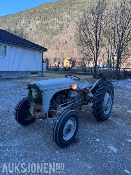 Massey Ferguson TE20 - جرار: صورة 1 Massey Ferguson TE20 - جرار: صورة 1