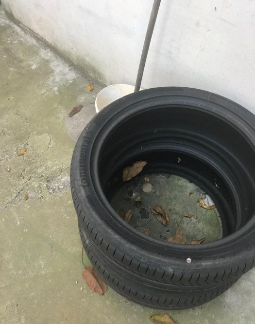 Anvelope Continental NOI ContisportContact 255 / 40 ZR 21 - إطارات - سيارة: صورة 1 Anvelope Continental NOI ContisportContact 255 / 40 ZR 21 - إطارات - سيارة: صورة 1