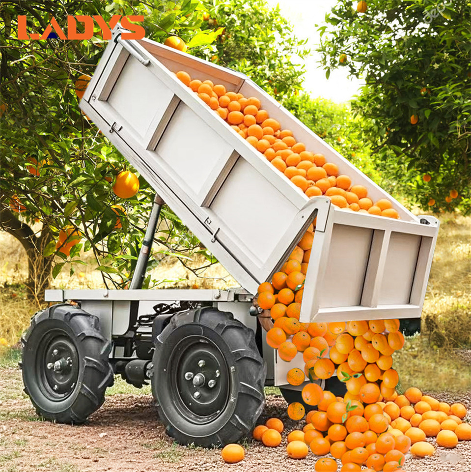 LADYS D-600 All-Terrain Four-Wheel Drive And Eight-Wheel Drive Transport Truck, Mountain Area Farm Orchard Greenhouse Construction Site Creeper Remote Control Electric Agricultural Transport Vehicle - مركبة لجميع التضاريس: صورة 1 LADYS D-600 All-Terrain Four-Wheel Drive And Eight-Wheel Drive Transport Truck, Mountain Area Farm Orchard Greenhouse Construction Site Creeper Remote Control Electric Agricultural Transport Vehicle - مركبة لجميع التضاريس: صورة 1