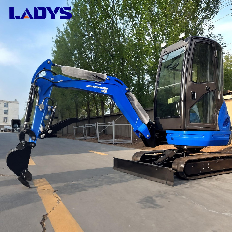LADYS DY25U Mini Excavator CE Certification Kubota Engine(Factory Outlet) Mini Pelle Minibagger Minikoparka Miniexcavadora - حفارة مُصَّغرة: صورة 4 LADYS DY25U Mini Excavator CE Certification Kubota Engine(Factory Outlet) Mini Pelle Minibagger Minikoparka Miniexcavadora - حفارة مُصَّغرة: صورة 4