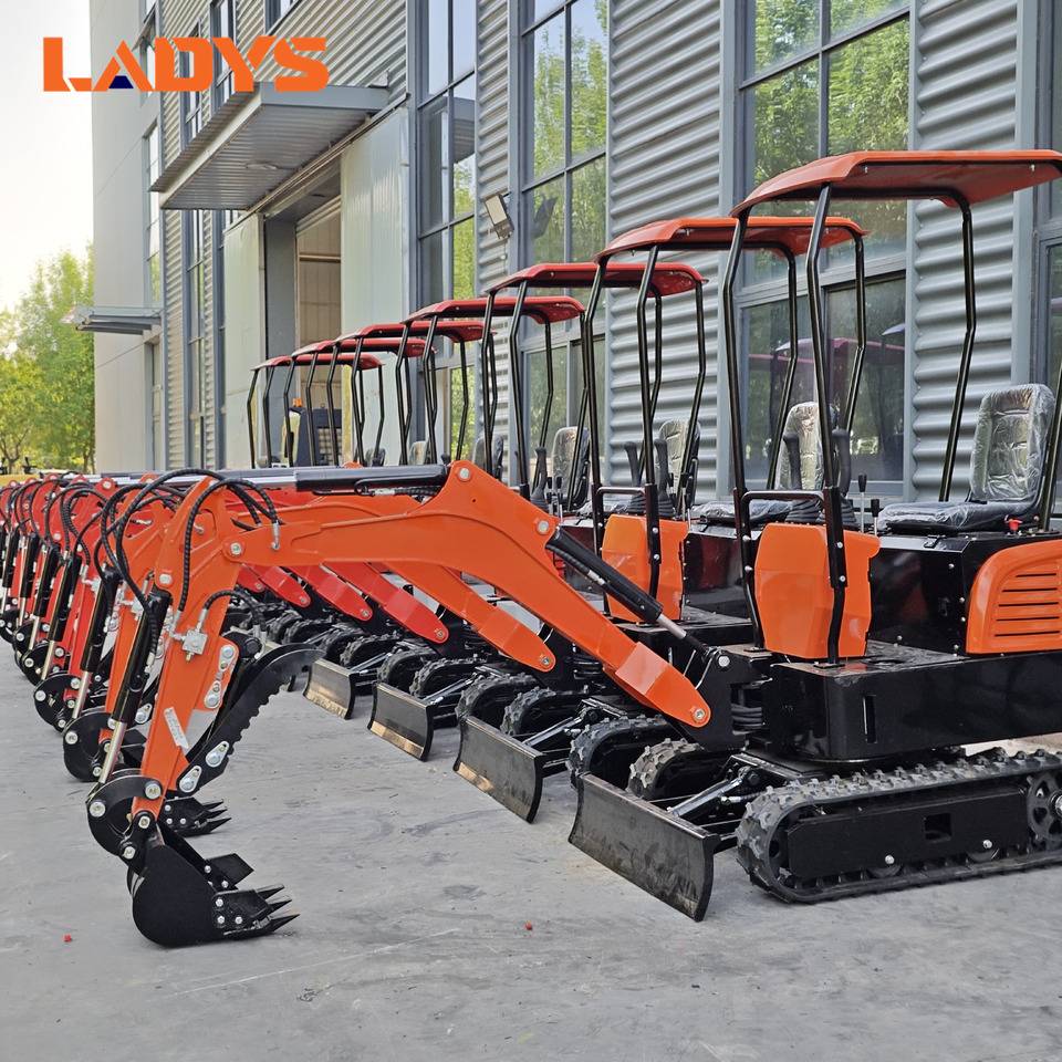 LADYS Mini Excavator CE Certification Kubota Engine(Factory Outlet) Mini Pelle Minibagger Minikoparka Miniexcavadora - حفارة مُصَّغرة: صورة 1 LADYS Mini Excavator CE Certification Kubota Engine(Factory Outlet) Mini Pelle Minibagger Minikoparka Miniexcavadora - حفارة مُصَّغرة: صورة 1