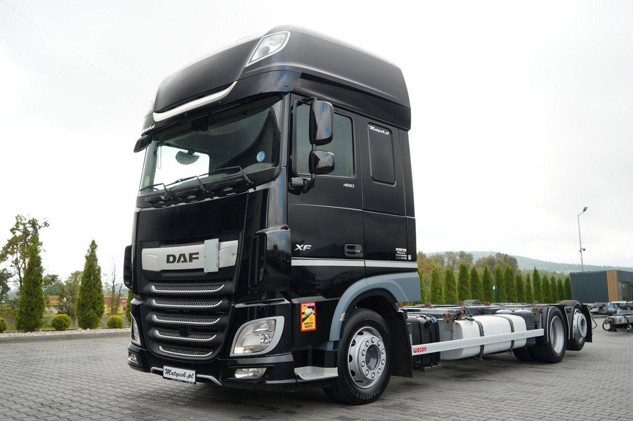 DAF XF 480 / BDF / 6X2 / SSC / I-PARK COOL / OŚ POD - شاحنات الحاويات / جسم علوي قابل للتغيير شاحنة: صورة 2 DAF XF 480 / BDF / 6X2 / SSC / I-PARK COOL / OŚ POD - شاحنات الحاويات / جسم علوي قابل للتغيير شاحنة: صورة 2