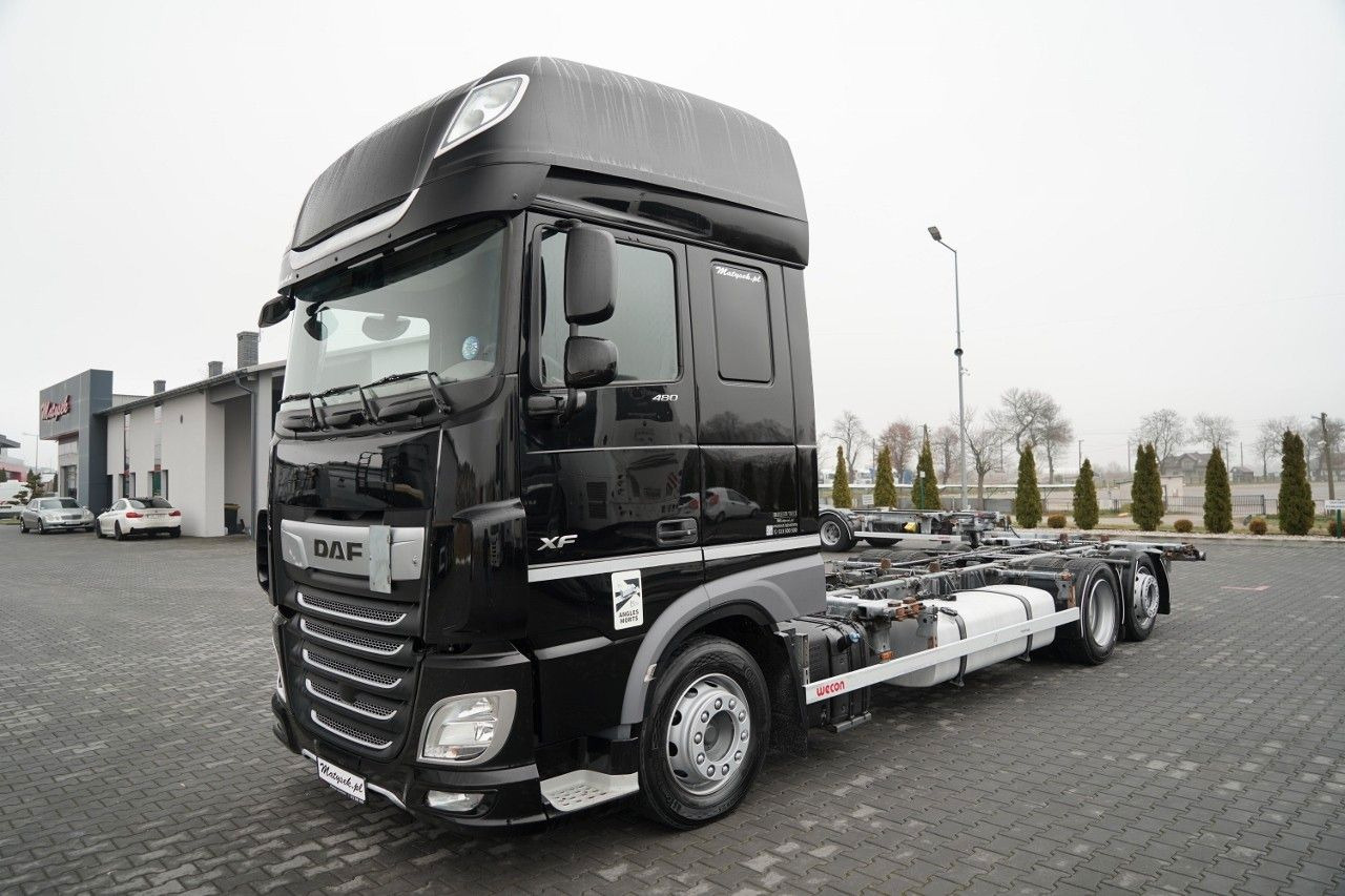 DAF XF 480 / BDF / 6X2 / / SSC / I-PARK COOL / OŚ P - شاحنات الحاويات / جسم علوي قابل للتغيير شاحنة: صورة 2 DAF XF 480 / BDF / 6X2 / / SSC / I-PARK COOL / OŚ P - شاحنات الحاويات / جسم علوي قابل للتغيير شاحنة: صورة 2