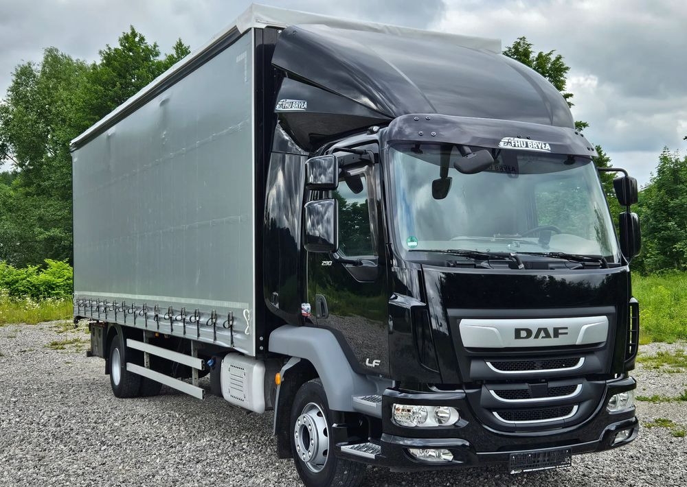 DAF LF 290 / WINDA / 16TON DMC / FIRANKA / AUTOMAT / JEDEN WŁAŚCICIE / EURO 6 / 2019 / SPROWADZONY / 20PALET / NISKI PRZEBIEG / DUŻA ŁADOWNOŚĆ / JAK NOWY - شاحنة ستارة: صورة 3 DAF LF 290 / WINDA / 16TON DMC / FIRANKA / AUTOMAT / JEDEN WŁAŚCICIE / EURO 6 / 2019 / SPROWADZONY / 20PALET / NISKI PRZEBIEG / DUŻA ŁADOWNOŚĆ / JAK NOWY - شاحنة ستارة: صورة 3
