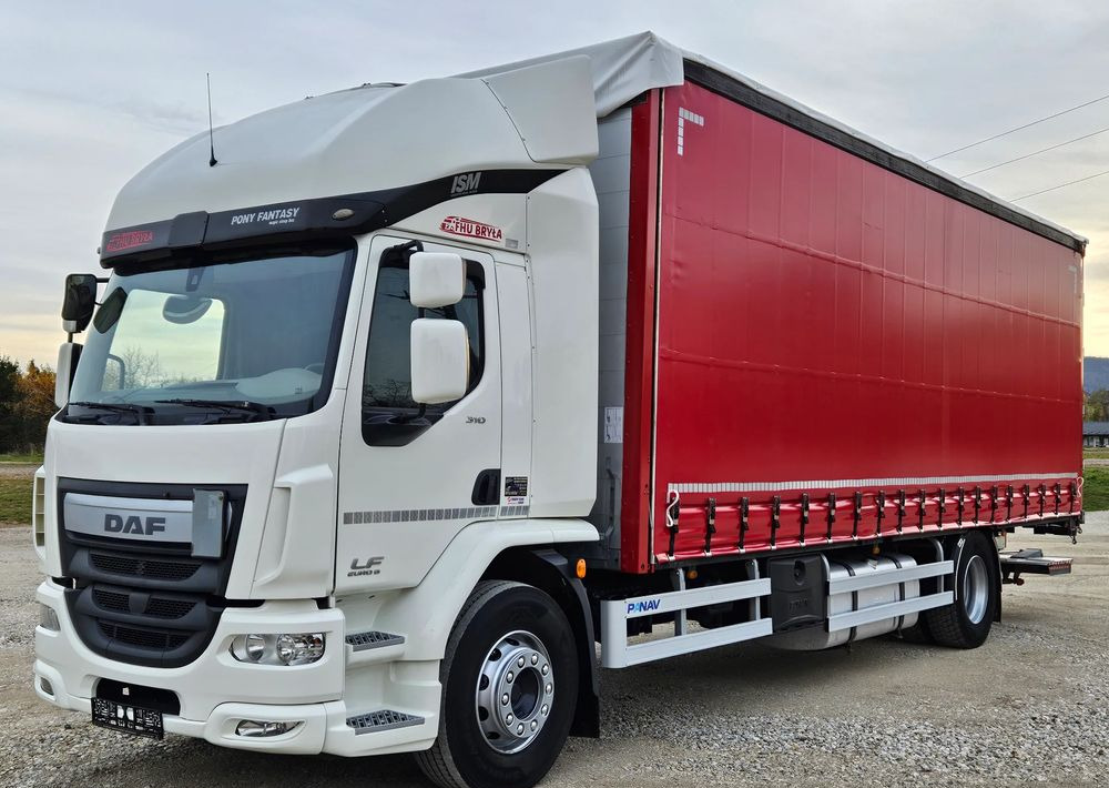 DAF LF 310/WINDA/FIRANKA/NOWE TURBO/NOWE SPRZĘGŁO/EURO 6/SPROWADZONY/20PALET/ŁADOWNOSC 10TON - شاحنة ستارة: صورة 1 DAF LF 310/WINDA/FIRANKA/NOWE TURBO/NOWE SPRZĘGŁO/EURO 6/SPROWADZONY/20PALET/ŁADOWNOSC 10TON - شاحنة ستارة: صورة 1