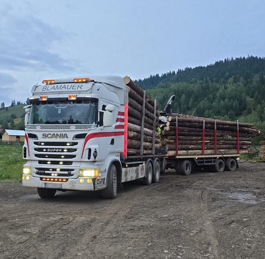 SCANIA R560 V8 - شاحنة قطع الأشجار, شاحنة كرين: صورة 1 SCANIA R560 V8 - شاحنة قطع الأشجار, شاحنة كرين: صورة 1