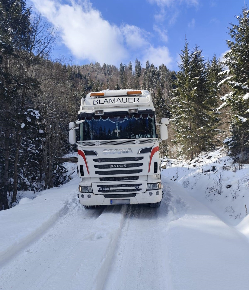 SCANIA R560 V8 - شاحنة قطع الأشجار, شاحنة كرين: صورة 4 SCANIA R560 V8 - شاحنة قطع الأشجار, شاحنة كرين: صورة 4