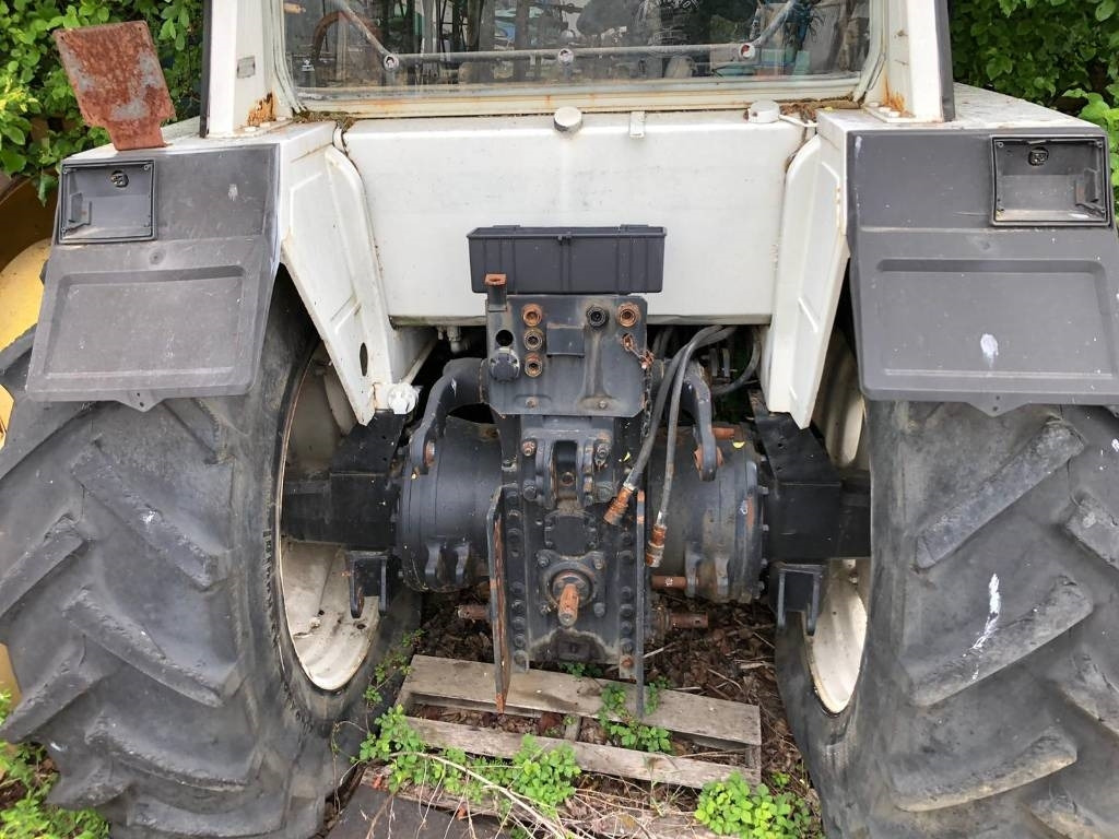 Lamborghini For Parts 1556 DT  - جرار: صورة 1 Lamborghini For Parts 1556 DT  - جرار: صورة 1