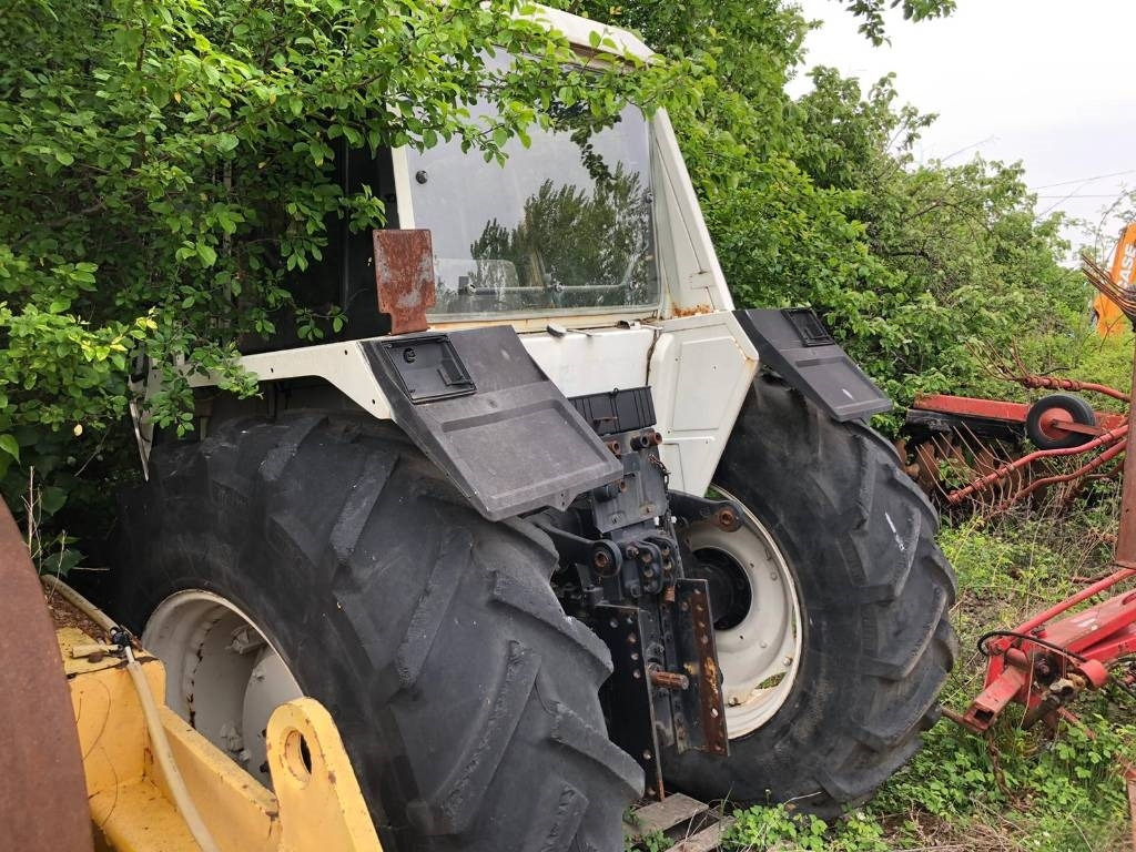 Lamborghini For Parts 1556 DT  - جرار: صورة 2 Lamborghini For Parts 1556 DT  - جرار: صورة 2