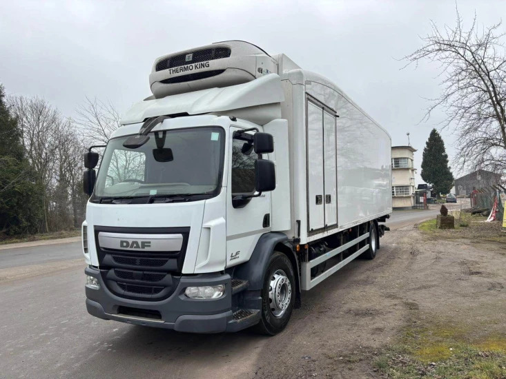 2015 DAF LF 220 Refrigerated Truck - شاحنة الفريزر: صورة 1 2015 DAF LF 220 Refrigerated Truck - شاحنة الفريزر: صورة 1