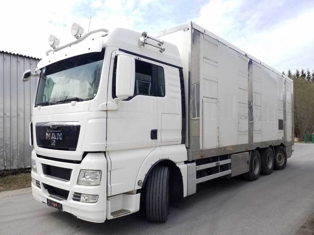 MAN TGX 35.540 8X4 TRIDEM ANIMAL - شاحنة نقل المواشي: صورة 1 MAN TGX 35.540 8X4 TRIDEM ANIMAL - شاحنة نقل المواشي: صورة 1